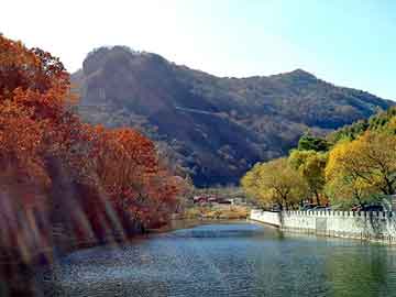 管家婆黑白马报图库，导热油电加热器